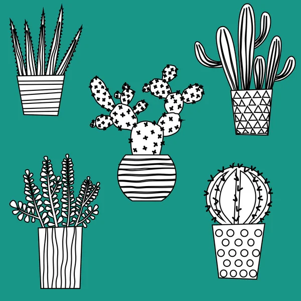 Cactus Cactus Succlulents Linda Planta Interior Maceta Ilustración Con Iconos — Vector de stock