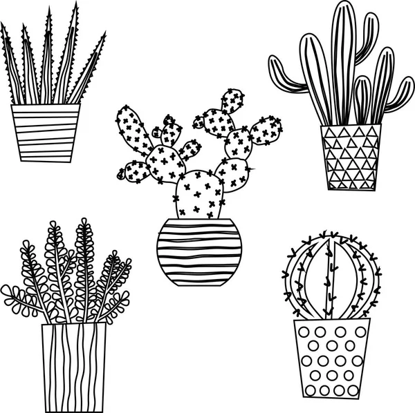 Cactus Cactus Succlulents Linda Planta Interior Maceta Ilustración Con Iconos — Archivo Imágenes Vectoriales