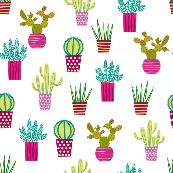 Cactus Cactus Suculentas Lindo Maceta Planta Interior Ilustración Con Iconos — Vector de stock