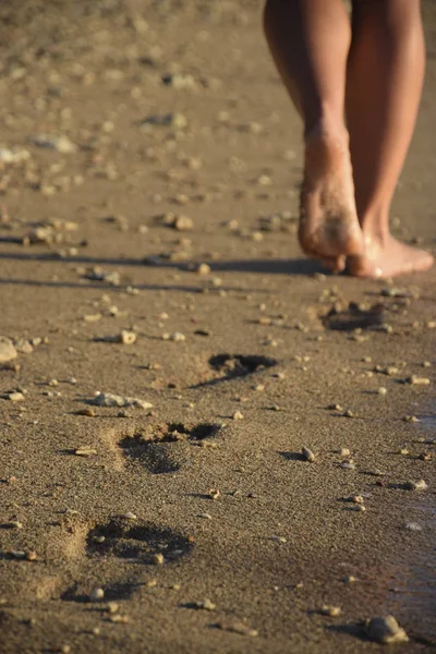 沙滩上的脚印 女人的腿 谁是走在沙滩上 — 图库照片