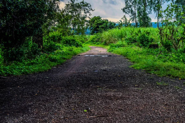 Imagem Uma Estrada Vazia Coberta Árvores Verdes Índia — Fotografia de Stock