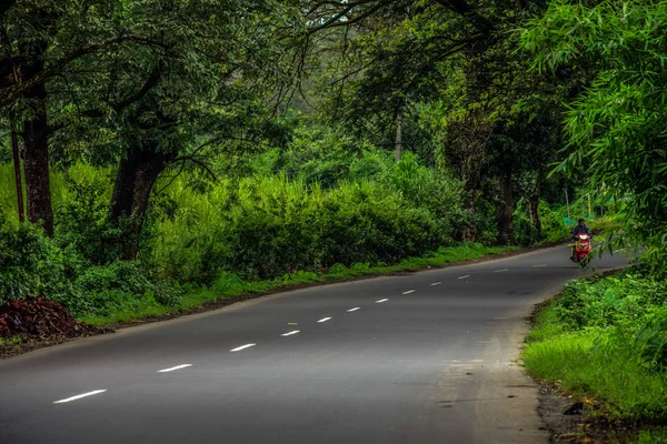 Imagem da estrada que conecta à vila coberta com árvores velhas enormes — Fotografia de Stock