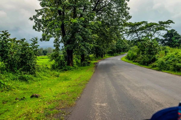 Imagem de um caminho que leva à densa floresta em monção na Índia — Fotografia de Stock