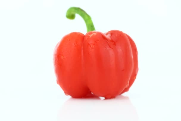 Red Bell Pepper 360 Film — Video Stock