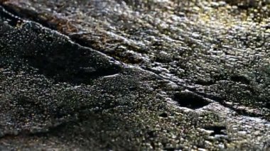 Islak sokak ışık yansıması uyarı sorunsuz döngü