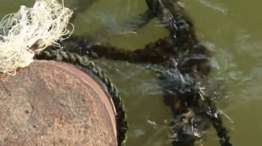 Yazı demirleme ve eski kalın halatlar yeşil çamurlu su üzerinde yüzen terk edilmiş paslı eski metal