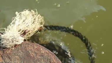 Yazı demirleme ve eski kalın halatlar yeşil çamurlu su üzerinde yüzen terk edilmiş paslı eski metal