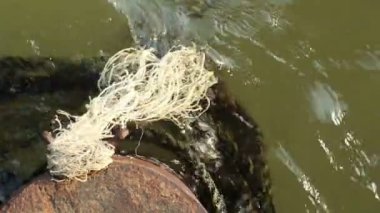 Yazı demirleme ve eski kalın halatlar yeşil çamurlu su üzerinde yüzen terk edilmiş paslı eski metal