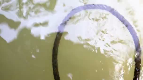 Abandoned Algae Covered Rope Floating Green Muddy Water — Stock Video