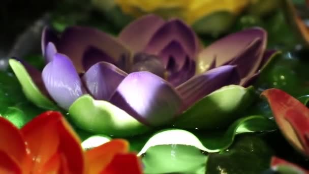 Soft Focused Decorative Colorful Beautiful Artificial Water Lilies Floating Water — Stock Video