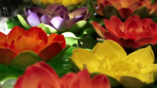 Morbido Concentrato Decorativo Colorato Belle Ninfee Artificiali Galleggianti Sull Acqua — Video Stock