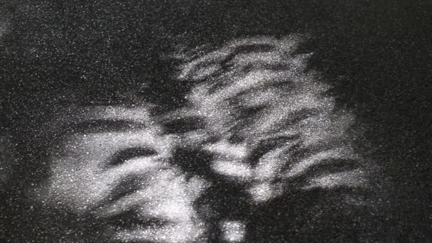 Schön Bewegendes Abstraktes Licht Und Schatten Von Baumblättern Auf Asphaltbeton — Stockvideo