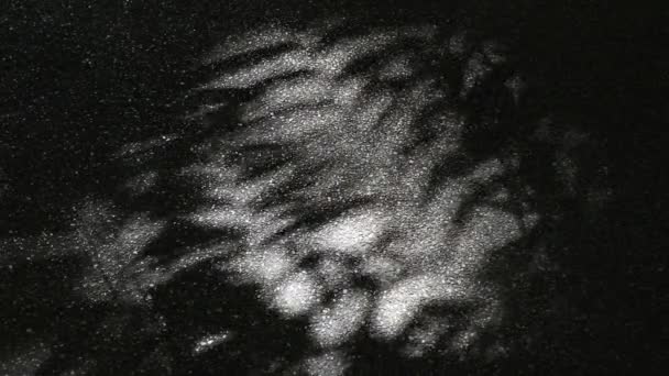 沥青混凝土地面上树叶的美丽移动抽象光和阴影 — 图库视频影像