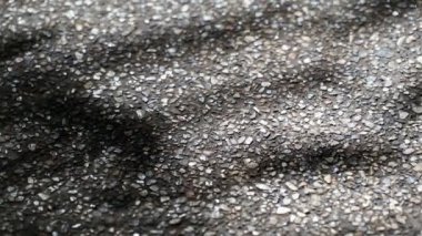 Güzel hareketli soyut ışık ve gölge ağacının yaprakları Asfalt beton zemin yüzeyinde