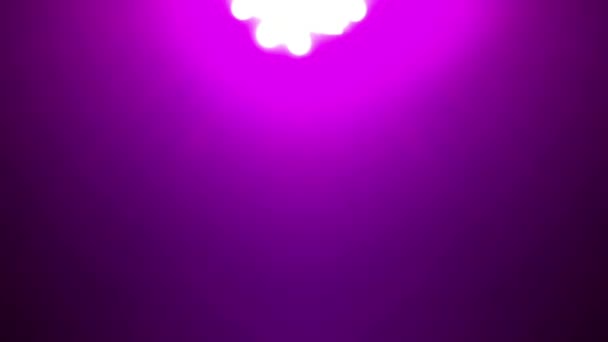 Desfocado Rápido Piscando Intensa Projeção Luz Holofotes Led Coloridos — Vídeo de Stock