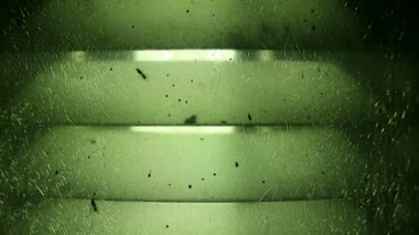 Yumuşak yeşil crackled cam lamba ışık ve uçan karıncalar odaklı