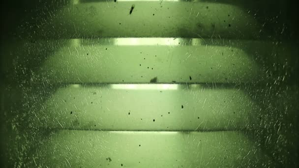 ソフト フォーカス緑罅割れたガラスのランプの光とその他の昆虫の飛行の蟻 — ストック動画