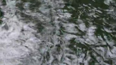 Çeşitli renkli süs Koi sazan balıkları, Cyprinus carpio, hızlı akan su havuzda yüzmek