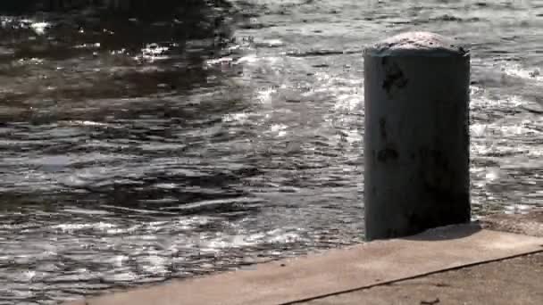 锈迹斑斑的系泊柱和漂浮的混凝土码头 在一个阳光明媚的下午 可以欣赏到美丽而宁静的河景 波光粼粼的水面和海浪 — 图库视频影像
