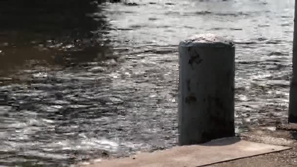 錆びたポストを係留 コンクリートをフローティング ドックです 美しく 平和な川の眺めは 晴れた日の午後 輝く水面と波 — ストック動画
