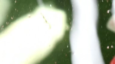 Yumuşak odaklı aşırı yakın görünümünü çeşitli renkli süs Koi sazan balıkları, Cyprinus carpio, su toz parçacık yüzen içinde yeşil yüzmek