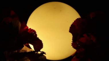 Eski lamba ve geceleri esintiyle bitkiler