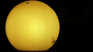 Pervane ve diğer küçük böcekler çevresinde gece eski lamba