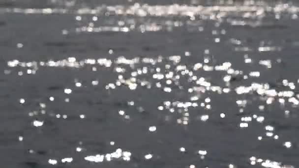 Abstrato Borrado Brilho Sol Bokeh Brilhando Superfície Água Ondulada Criando — Vídeo de Stock
