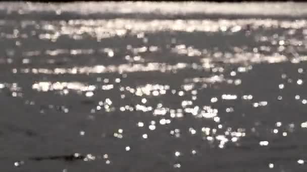 Résumés Flous Bokeh Soleil Éblouissement Scintillant Sur Surface Eau Ondulée — Video