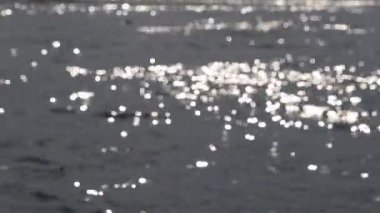 Soyut ve bulanık bokeh güneş parlamayı dalgalı su yüzeyi, güzel oluşturma ve dinamik desenler üzerinde parlak