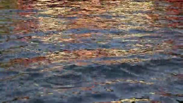 Golden Sunlight Reflection House River Water Surface Creating Beautiful Ripples — Stock Video