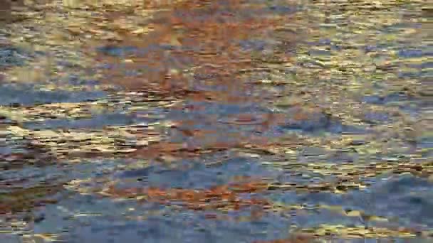 Sinar Matahari Emas Merefleksikan Sebuah Rumah Permukaan Air Sungai Menciptakan — Stok Video