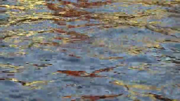 Золоте Сонячне Світло Відображення Будинку Водяній Поверхні Річки Створюючи Красиві — стокове відео
