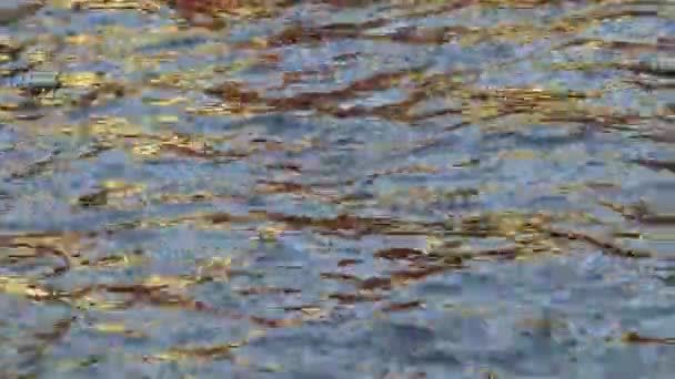 Zlatý Sluneční Odraz Domu Vodní Hladině Řeky Vytvářející Krásné Vlnky — Stock video