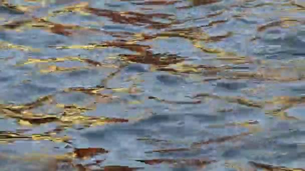 Reflexão Luz Solar Dourada Uma Casa Superfície Água Rio Criando — Vídeo de Stock