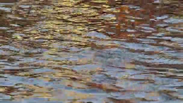 Golden Sunlight Reflection House River Water Surface Creating Beautiful Ripples — Stock Video