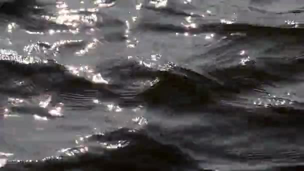 Foco Suave Belo Brilho Sol Brilhante Cintilante Superfície Mar Ondulado — Vídeo de Stock