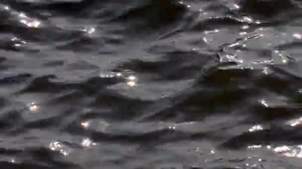 Foco Suave Belo Brilho Sol Brilhante Cintilante Superfície Mar Ondulado — Vídeo de Stock