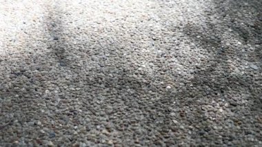 Thyrsostachys siamensis Gamble 'ın güzel hareket eden yaprakları, manastır bambusu olarak da bilinir, çakıllı beton zemine yansımaktadır..