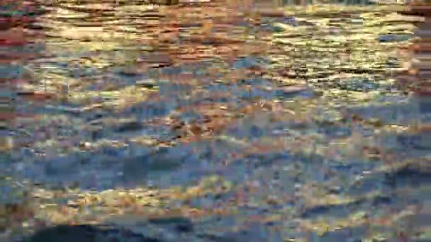 Goldene Reflexion Des Sonnenlichts Auf Der Oberfläche Des Blauen Wasserflusses — Stockvideo