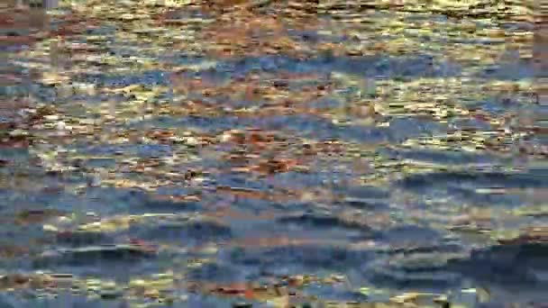 青い川の表面に黄金の太陽の反射 美しい波紋 テクスチャとリズミカルなパターンを作成します — ストック動画
