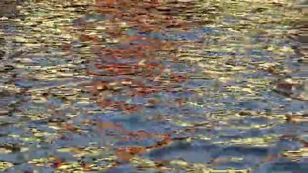 Goldene Reflexion Des Sonnenlichts Auf Der Oberfläche Des Blauen Wasserflusses — Stockvideo