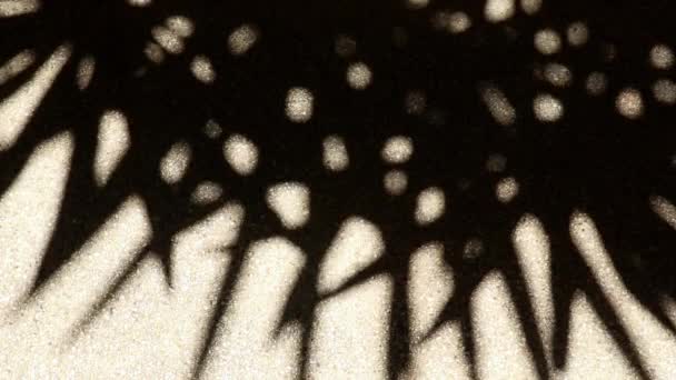 Причудливая Красиво Движущаяся Абстрактная Тень Листьев Бамбуковой Пальмы Гравийном Бетонном — стоковое видео