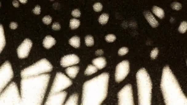 Una Extraña Pero Bellamente Conmovedora Sombra Abstracta Hojas Palmera Bambú — Vídeo de stock