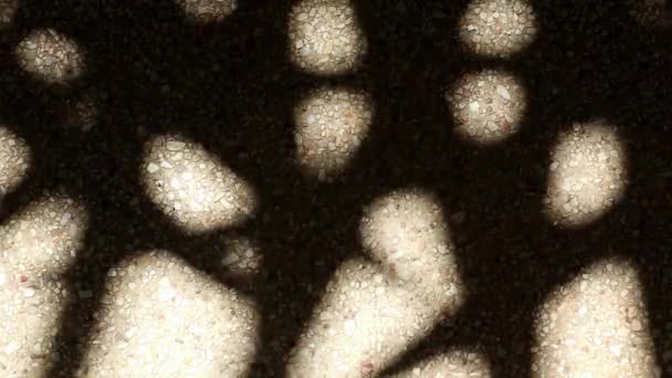 砂利コンクリートの床に竹のヤシの木の奇妙な 美しく動く抽象的な影の葉 — ストック動画