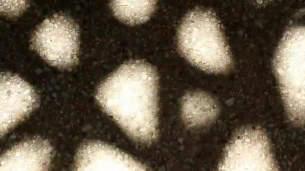 砂利コンクリートの床に竹のヤシの木の奇妙な 美しく動く抽象的な影の葉 — ストック動画