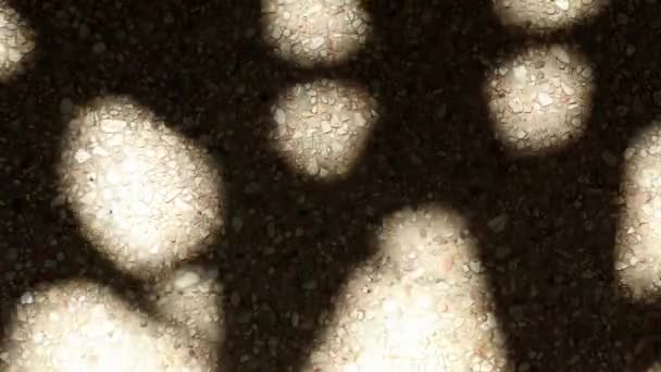沙砾混凝土地面上的竹树叶子的奇异而动人的抽象阴影 — 图库视频影像