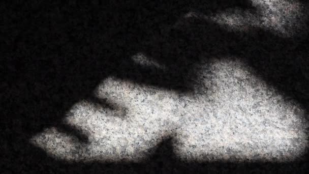 花崗岩の床や壁面に葉の抽象的な影を美しく動かす — ストック動画