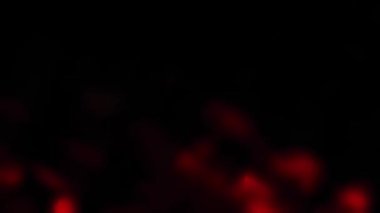Soyut renk arkaplanı. Renkli LED ışıkları, pürüzsüz video döngüsü yavaş yavaş bulanıklaşır.