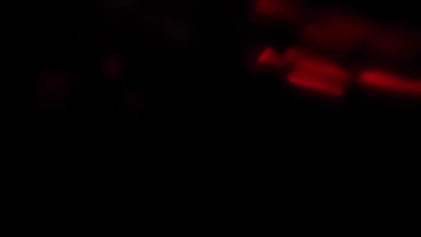 Abstrakter Farbhintergrund Nahaufnahme Von Verschwommenen Blinkenden Bunten Led Lichtern Nahtloser — Stockvideo